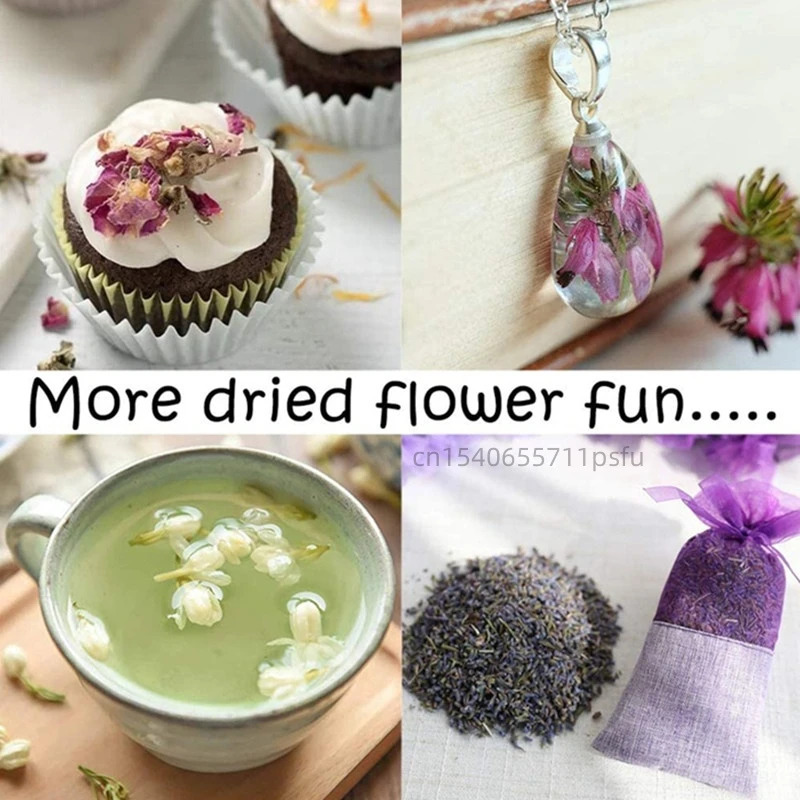 High Quality Natural Dried Flo - Candle Making Bath recension och pris